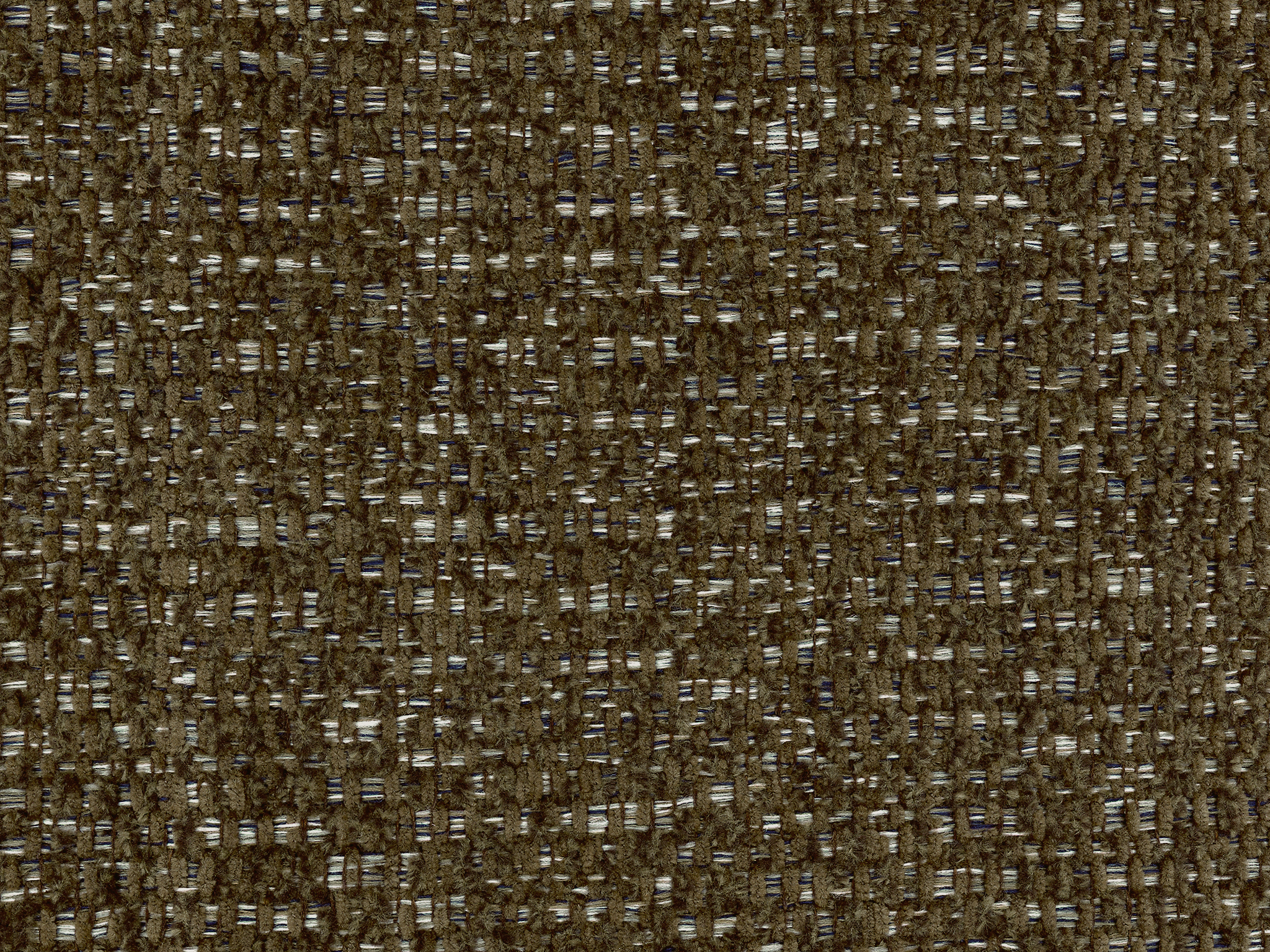 Carob 19046