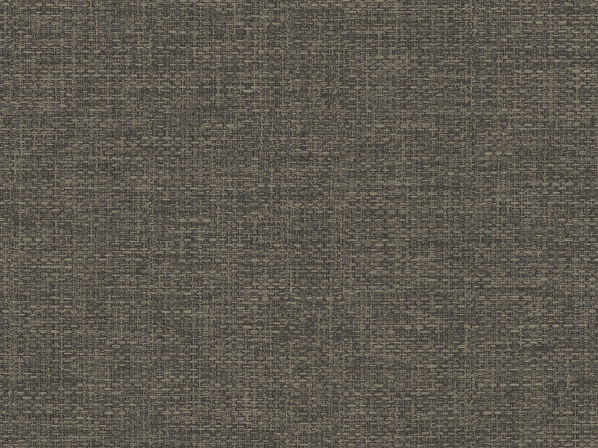 Brown 19706
