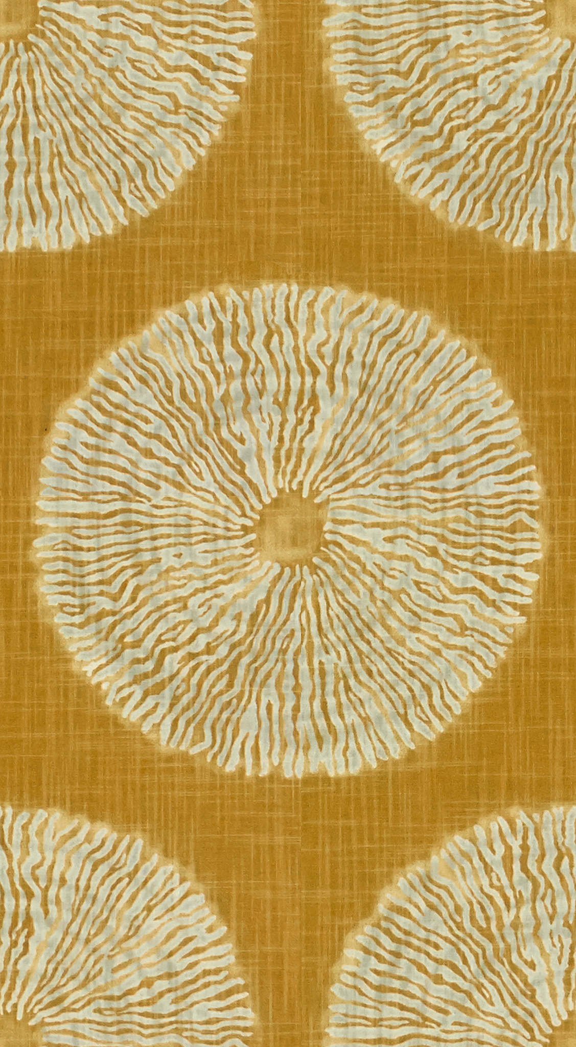 Amber 1C446-2