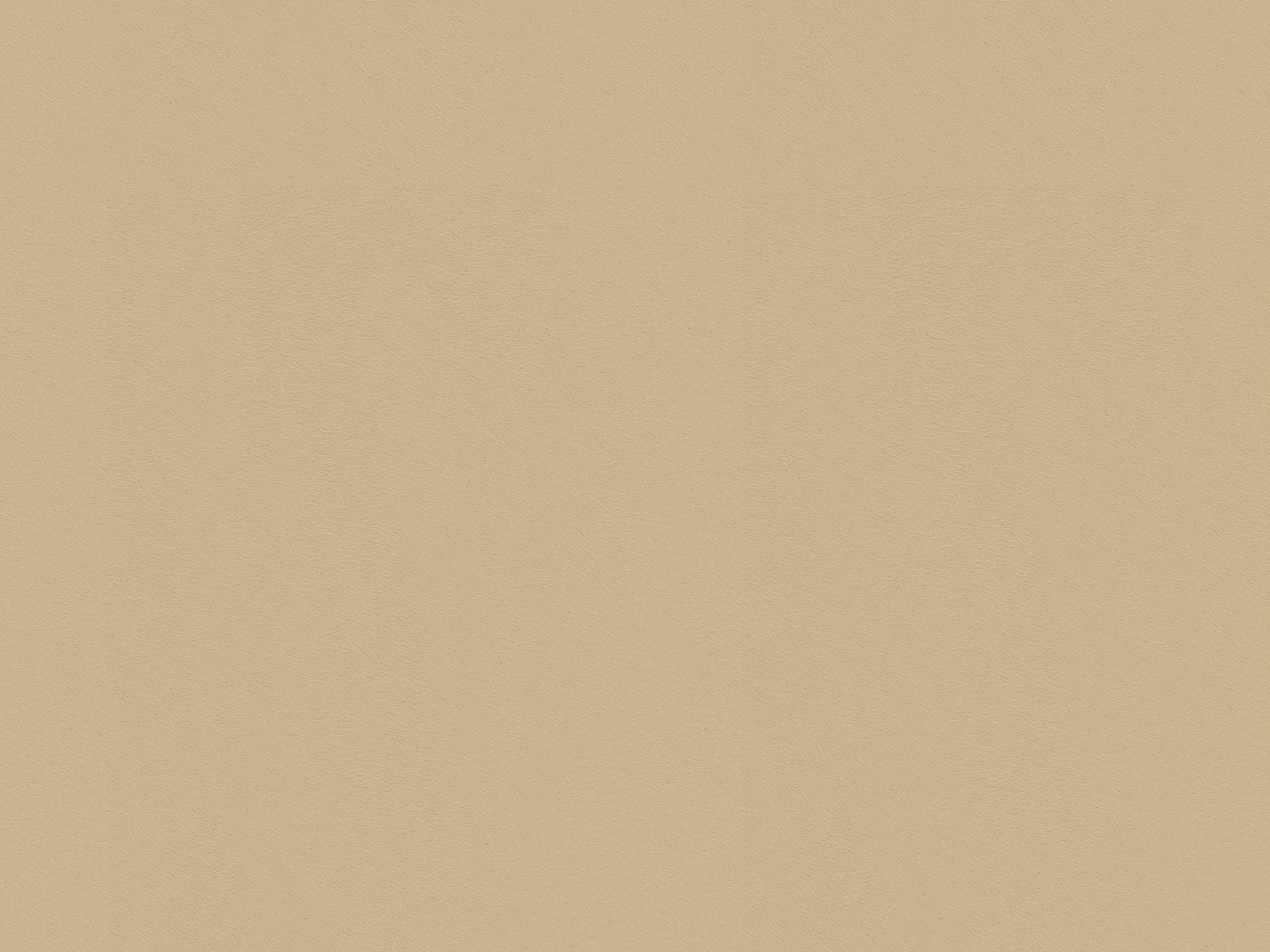 23956_1111