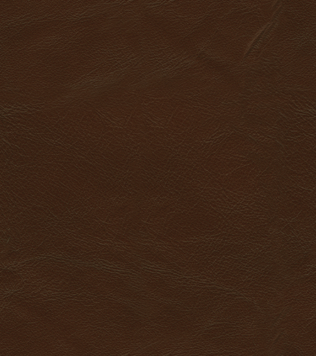Earth 7084-6