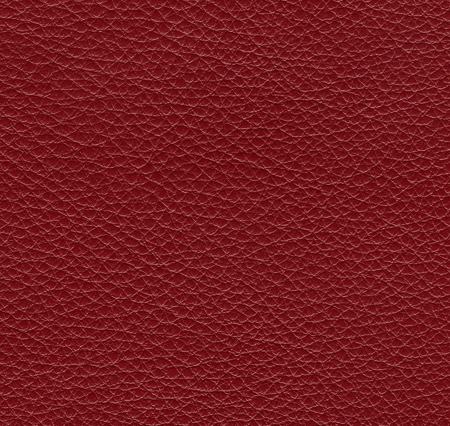 Coral 7094-7