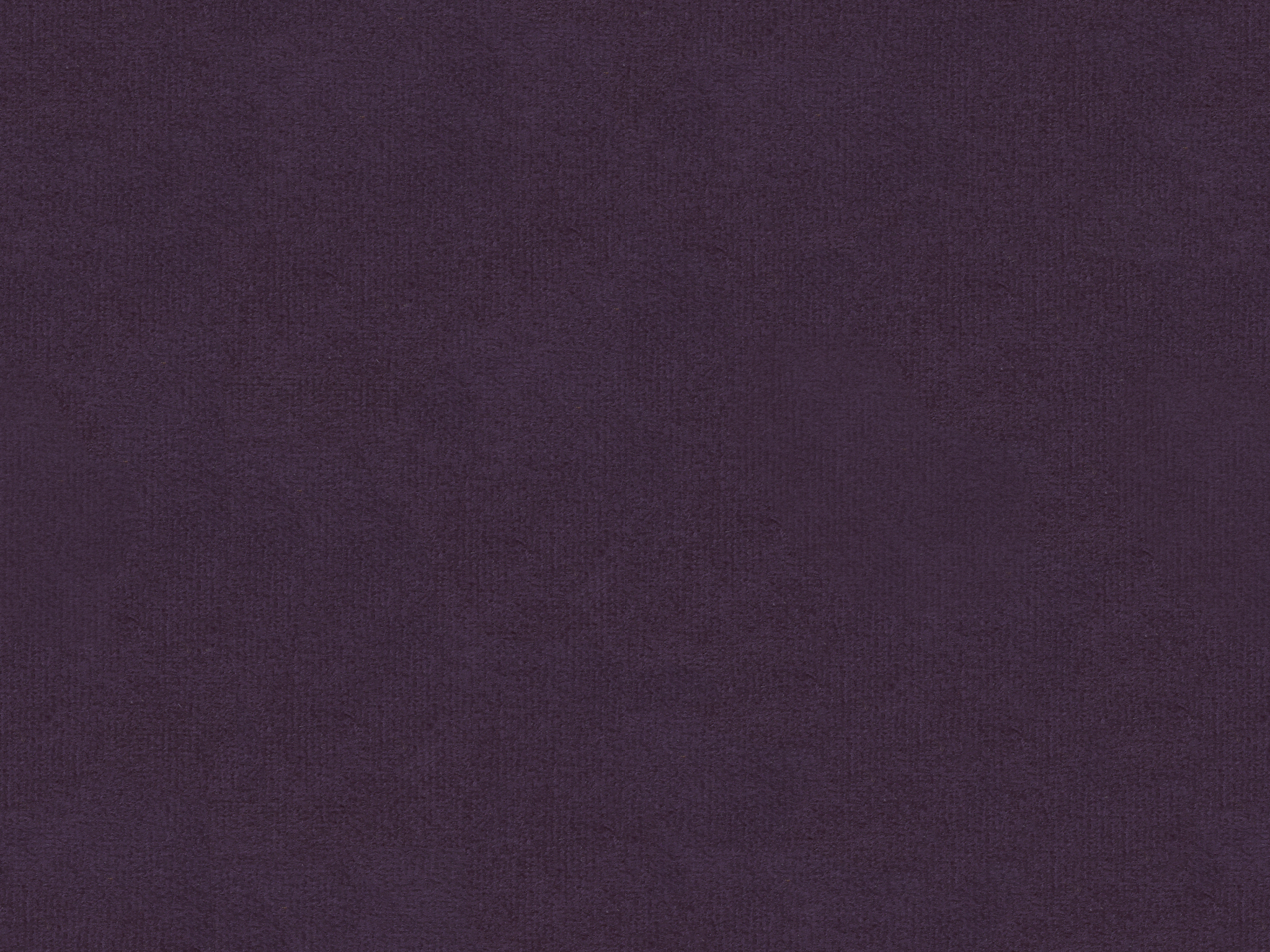 BELA AUBERGINE