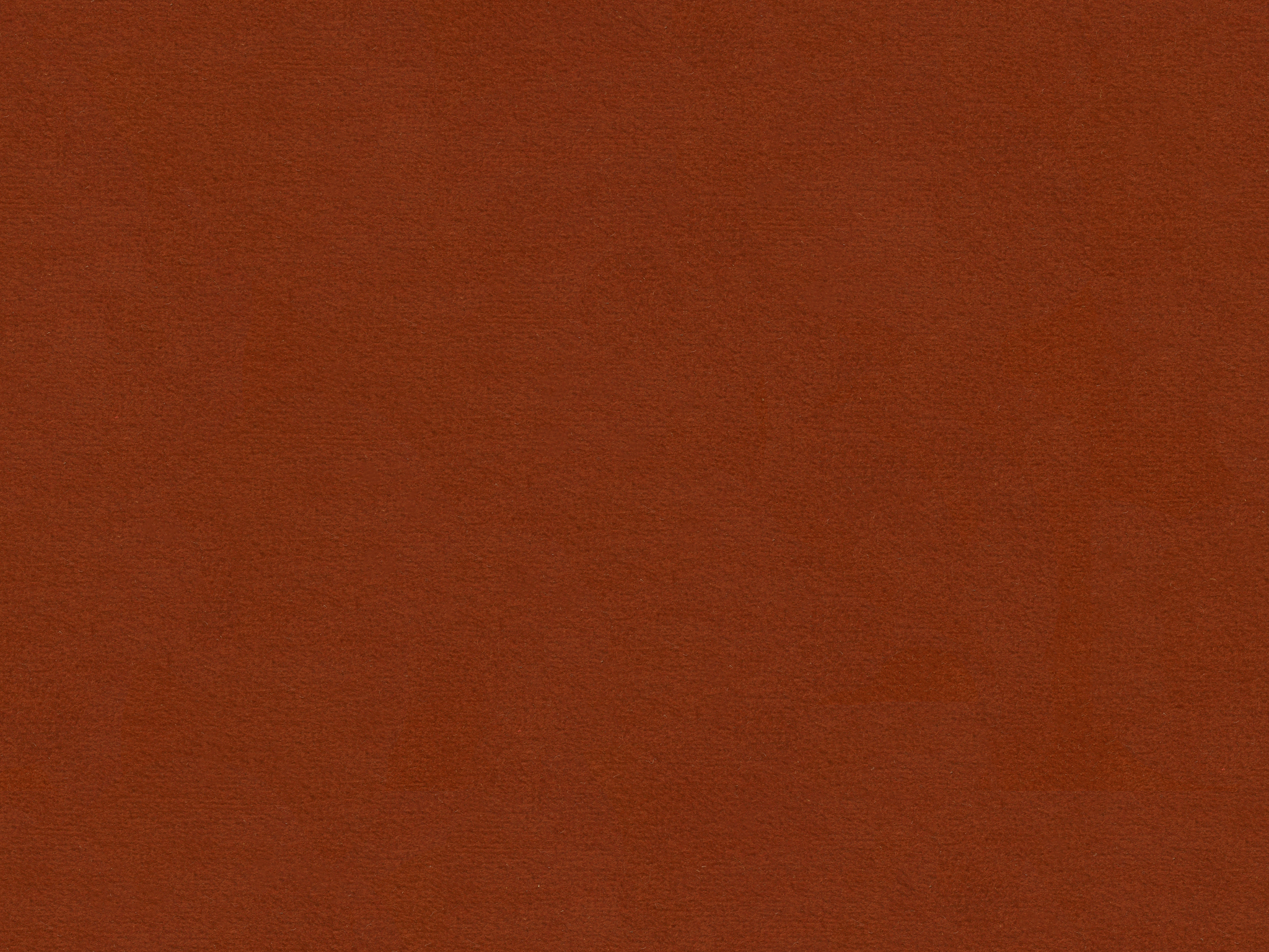 BELA ROUGE