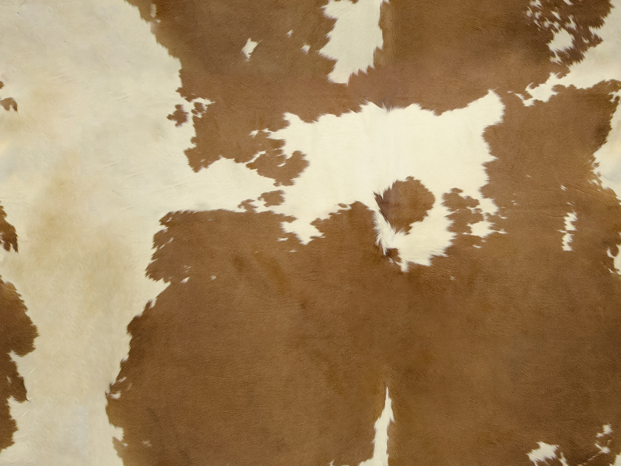 BROWN AND WHITE