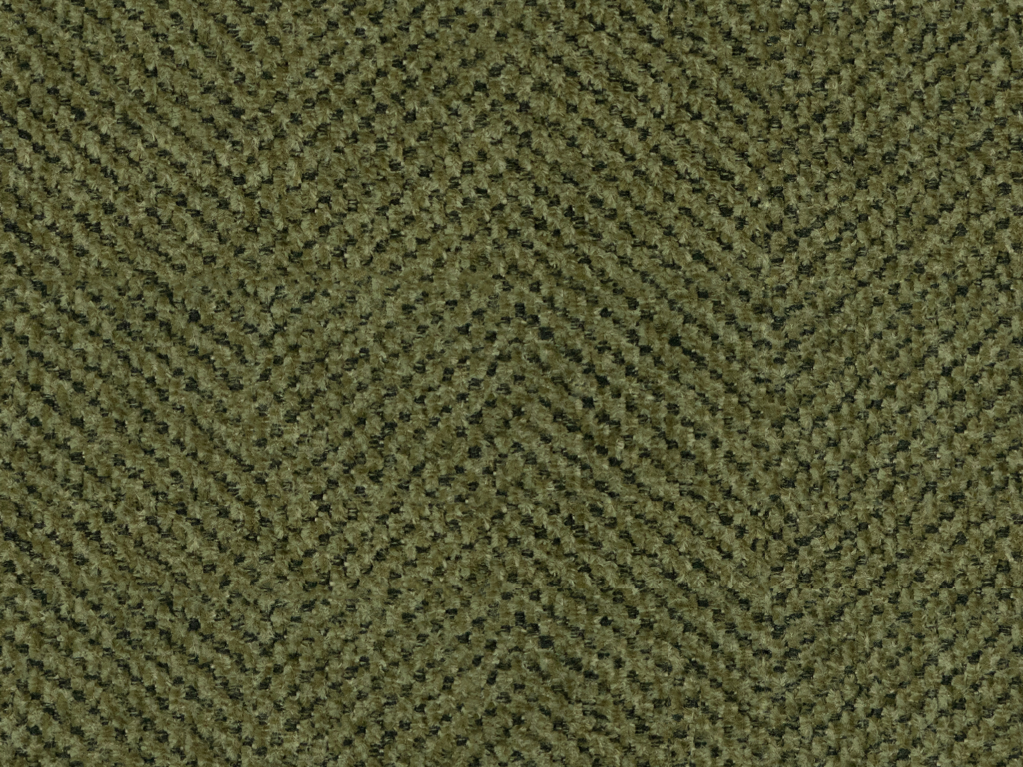 DOUBLE OLIVE NL E 2k