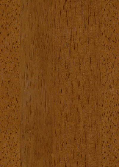 GOLDEN PECAN
