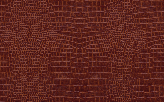 Decorative Leather 