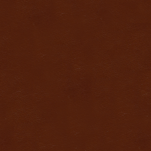 LE1102-21