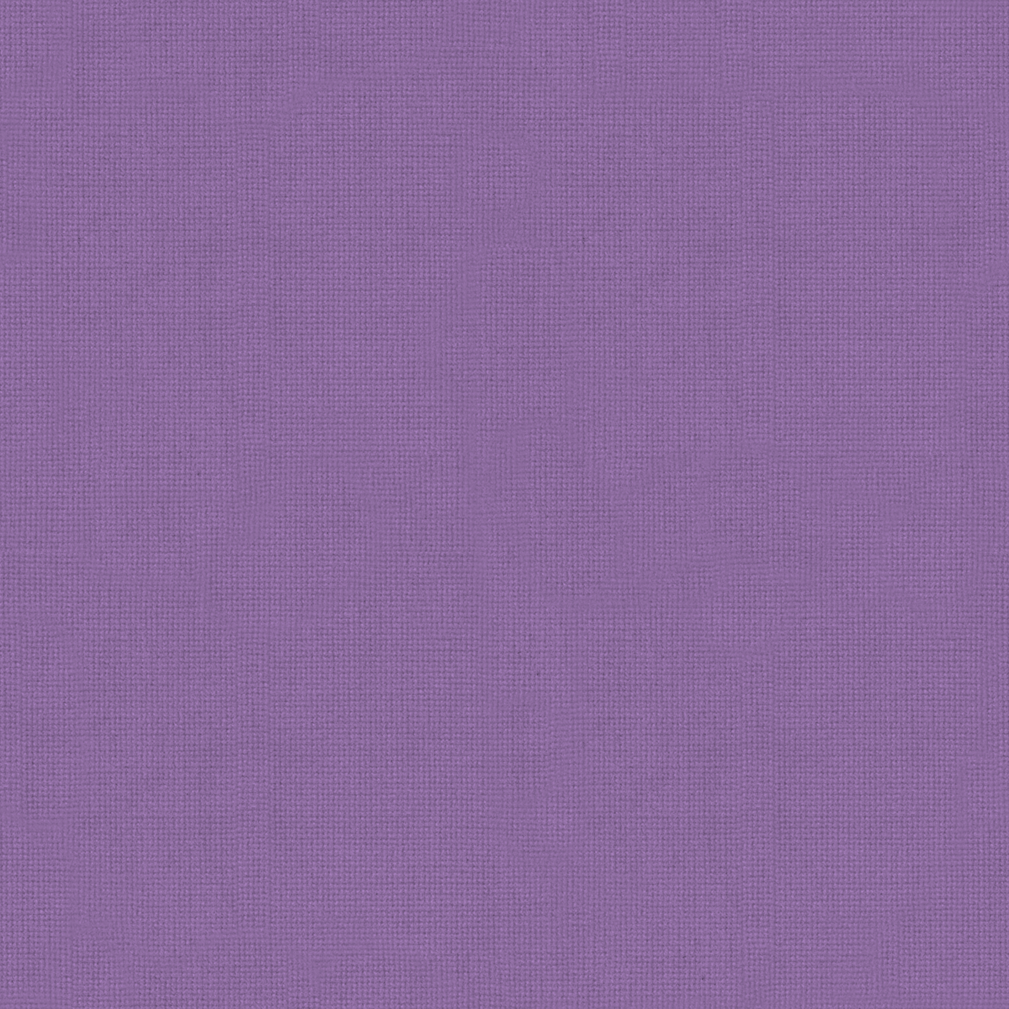 MD LAVENDER SHEER