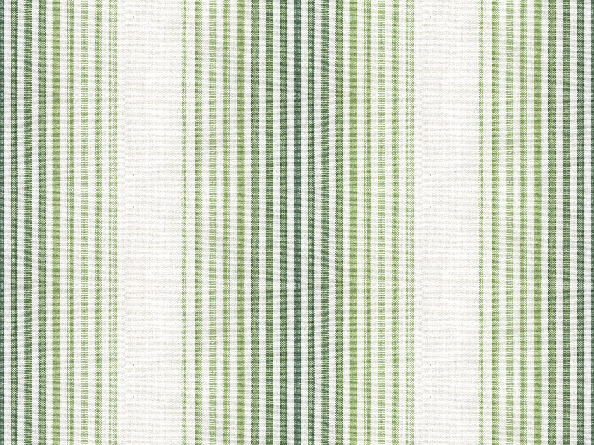TIVOLI STRIPE PALM