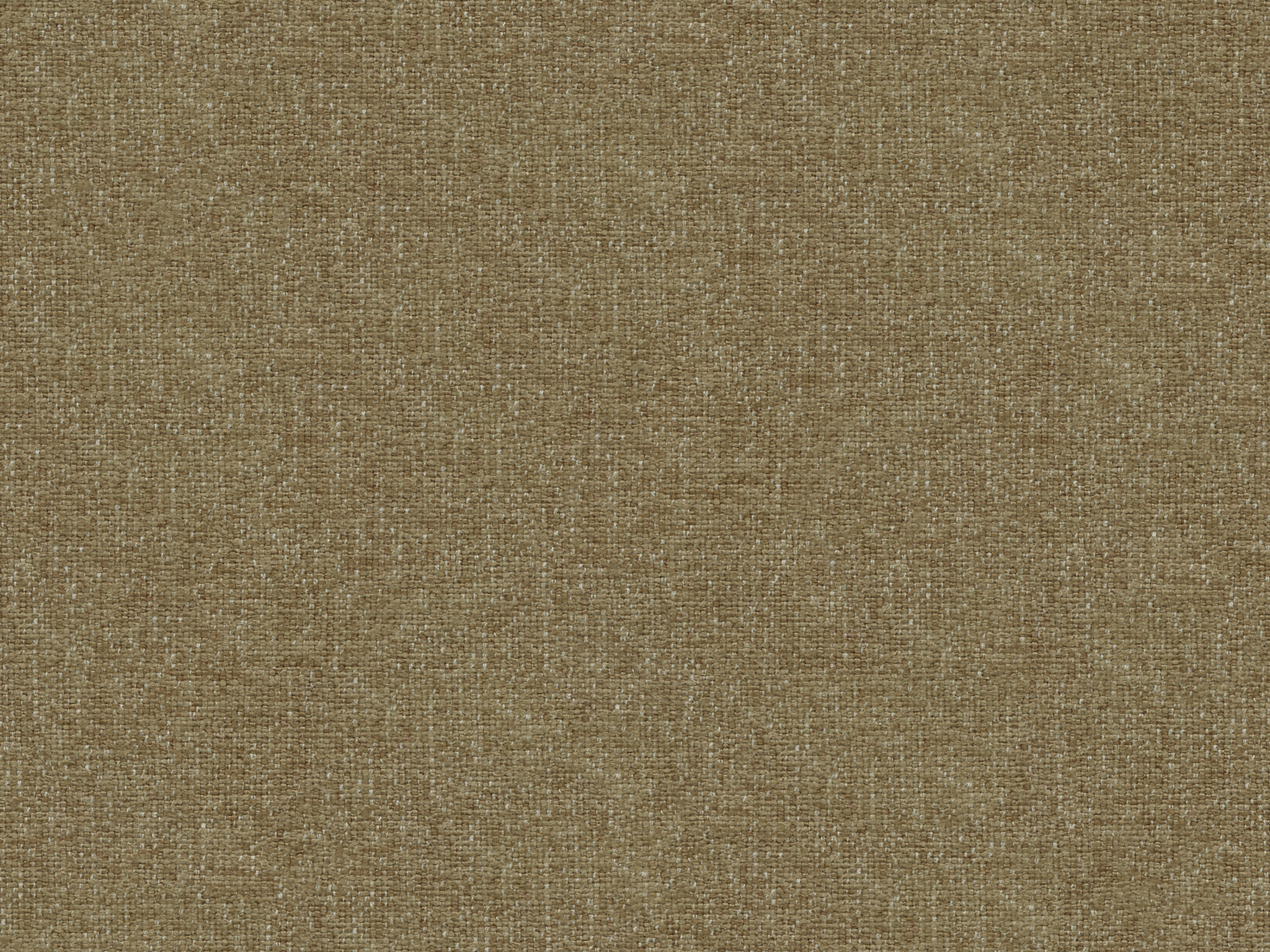 Beige Solid 318-80