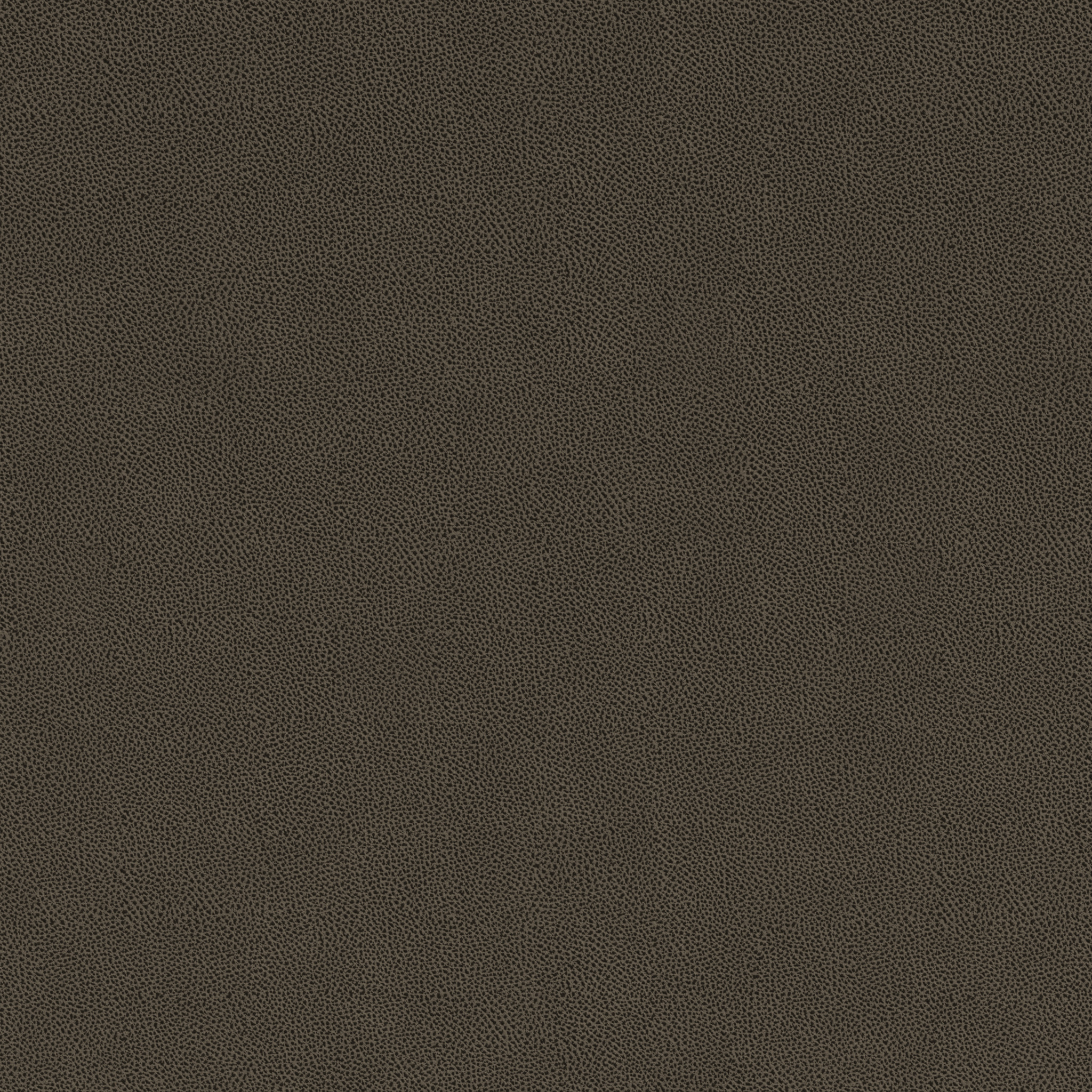  Pewter 