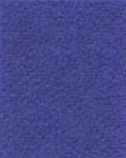 Electric Blue