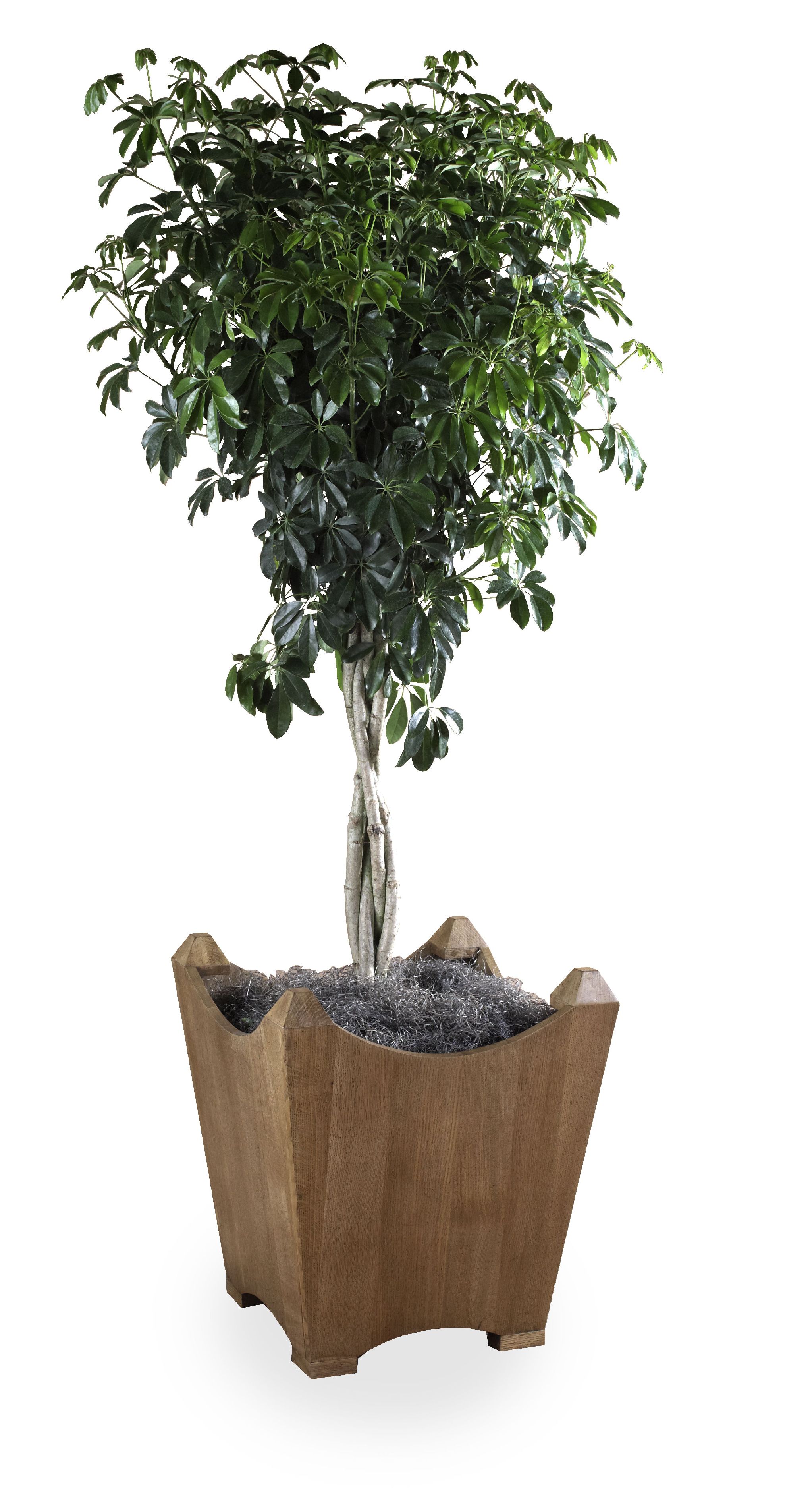  Woodside Planter 