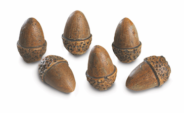  Acorns 