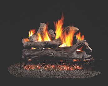 Coastal Driftwood