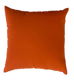 Orange Pillow 