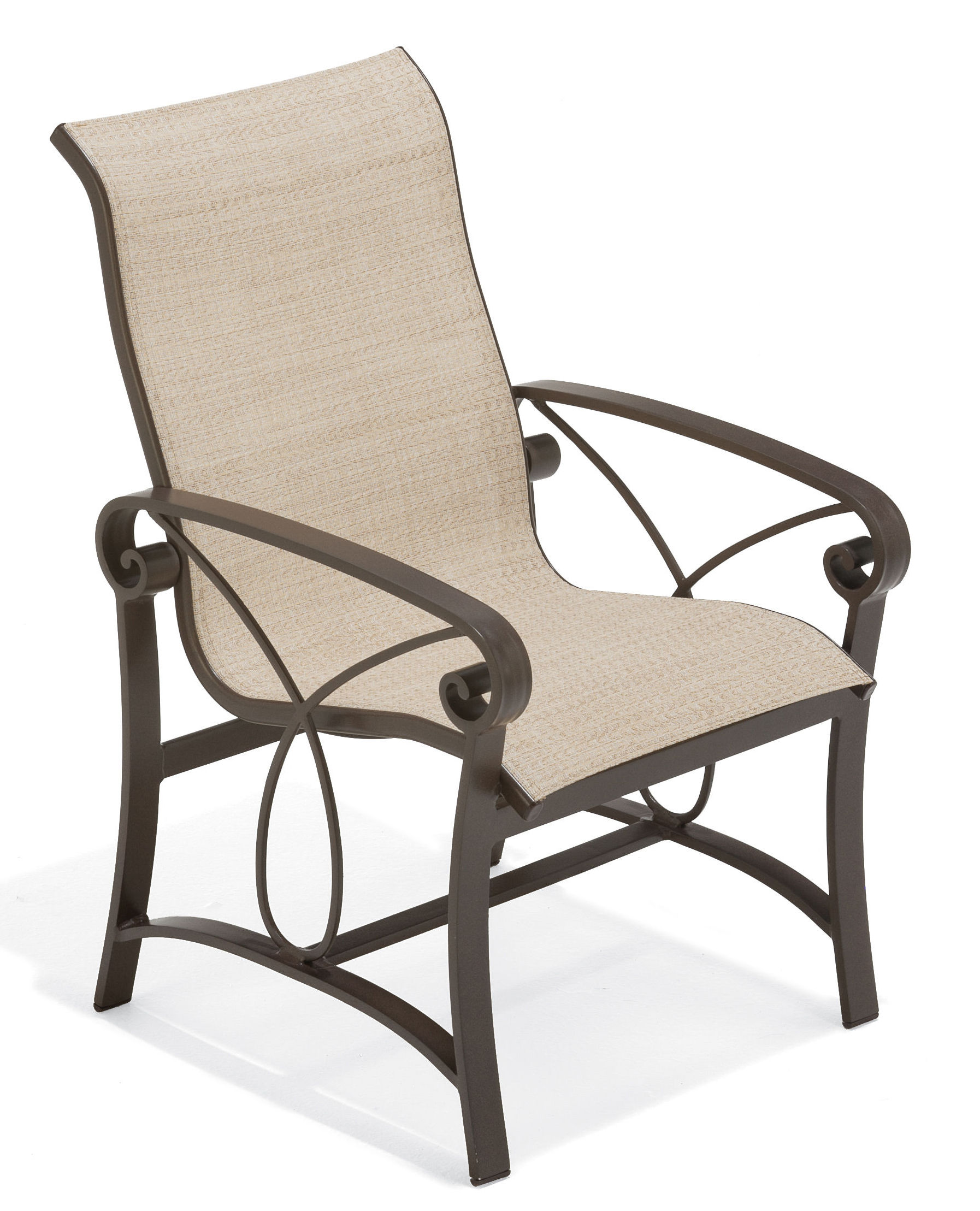  Palazzo Sling Dining Chair 
