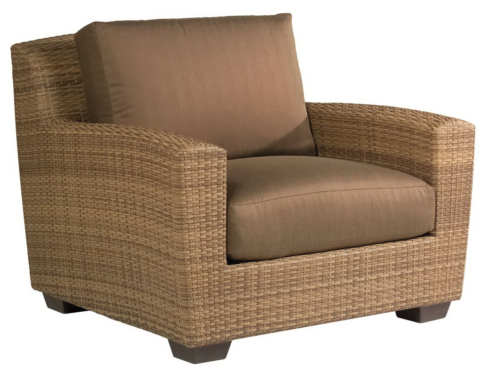  Saddleback Lounge Chair 