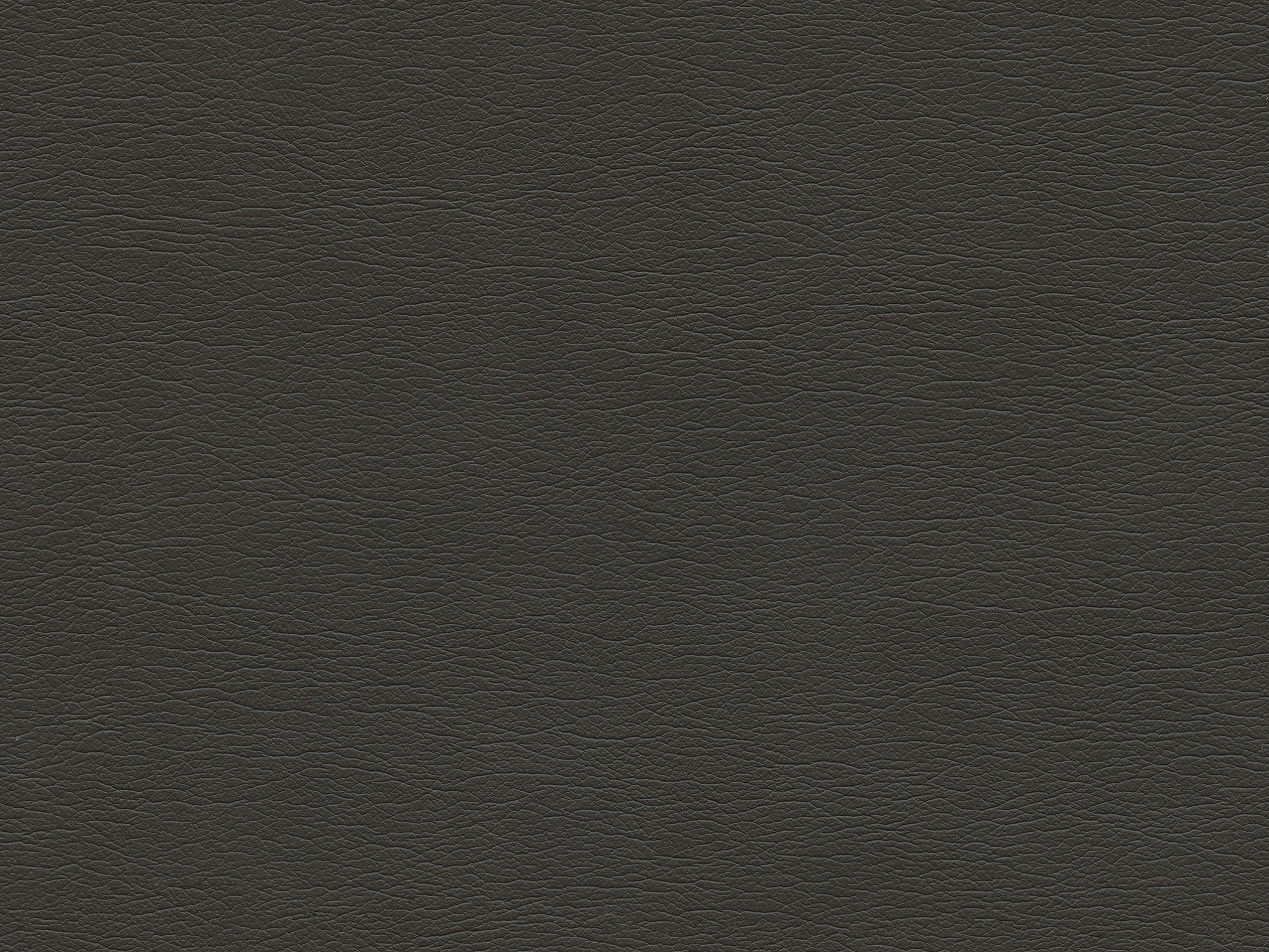 291-3666 FUDGE HC1021