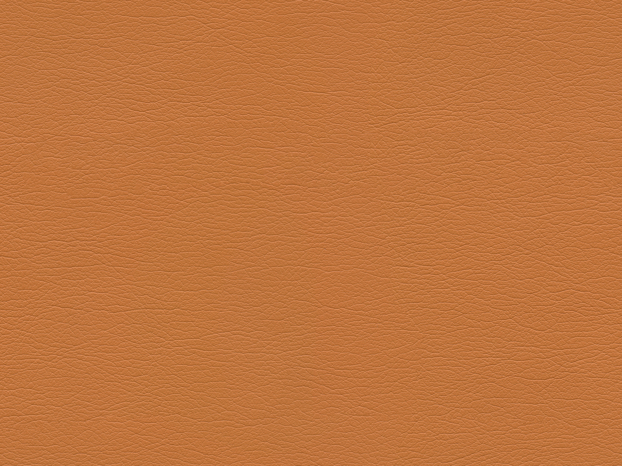 291-8243 APRICOT HC1022