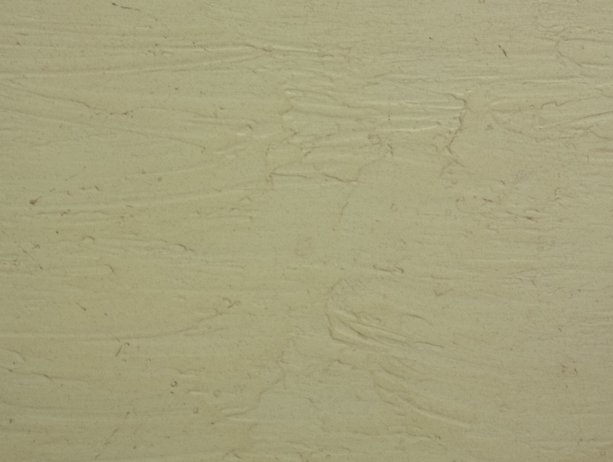 FINISH OPTIONS ARTISAN BIRCH