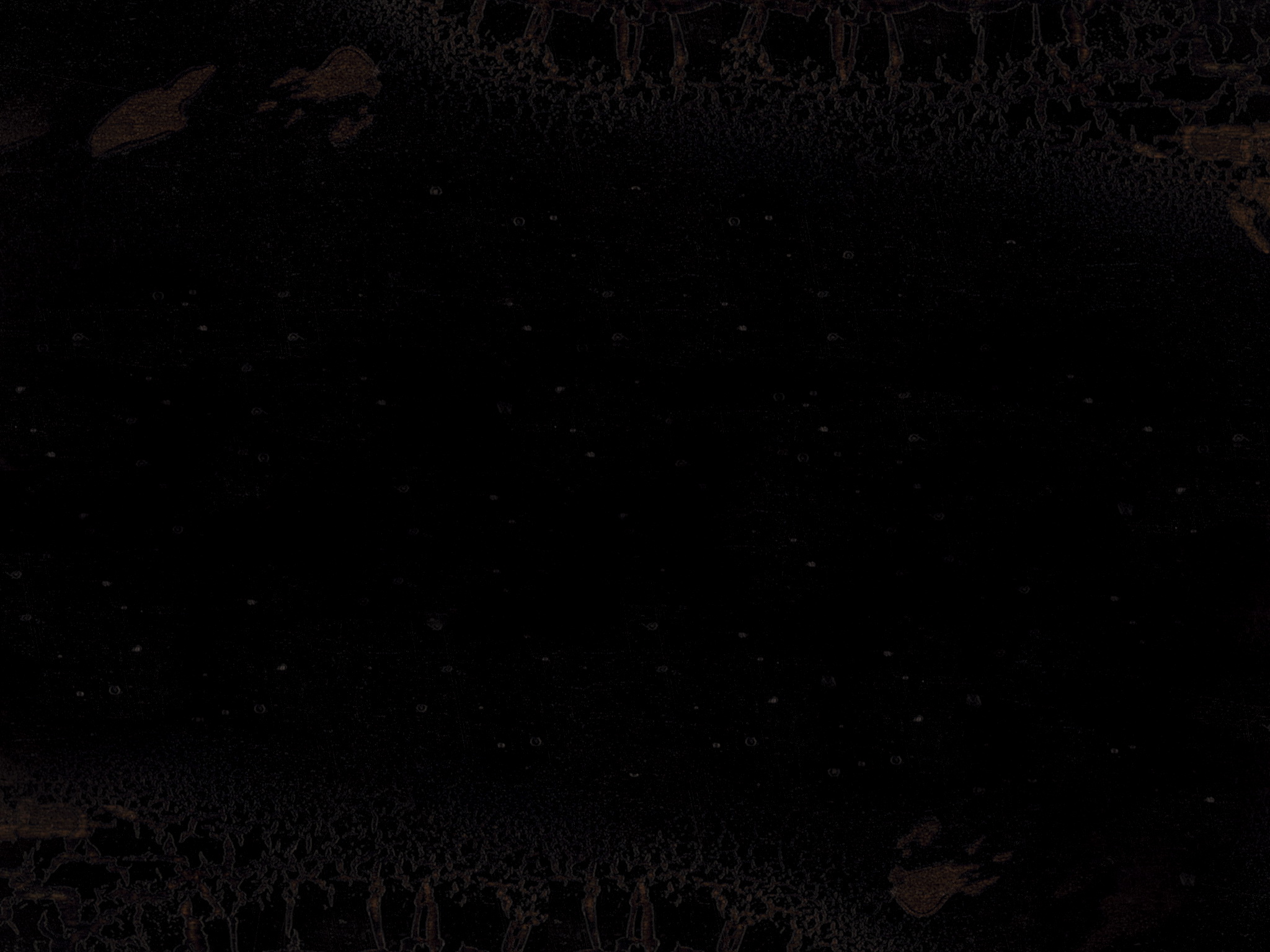 FINISH OPTIONS RUSTIC BLACK